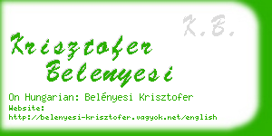 krisztofer belenyesi business card